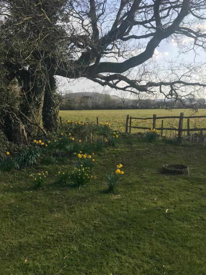 The Old Flower Field Hurstpierpoint Exterior photo